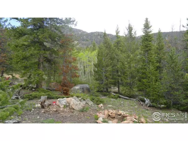 204 Sutiki Dr, Red Feather Lakes, CO 80545
