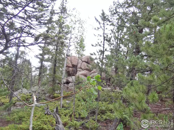 Red Feather Lakes, CO 80545,277 Huron Rd