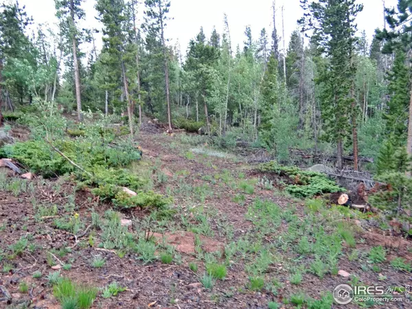 Red Feather Lakes, CO 80545,277 Huron Rd