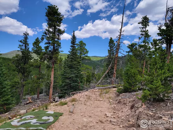 Red Feather Lakes, CO 80545,50 Carrier Way