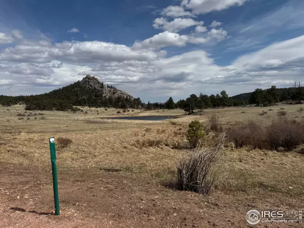 Livermore, CO 80536,Shoshana Ranch Rd