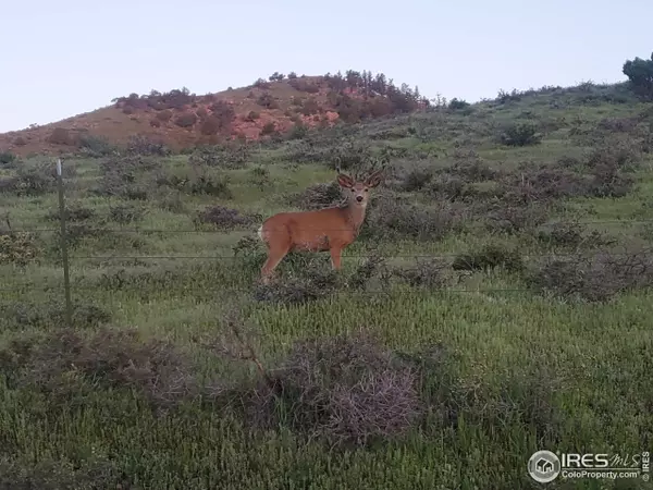 Livermore, CO 80536,232 Red Mountain Ct