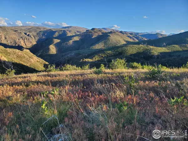 232 Red Mountain Ct, Livermore, CO 80536