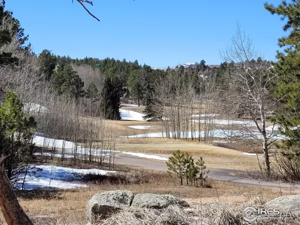 Red Feather Lakes, CO 80545,1001 Fox Acres Dr E