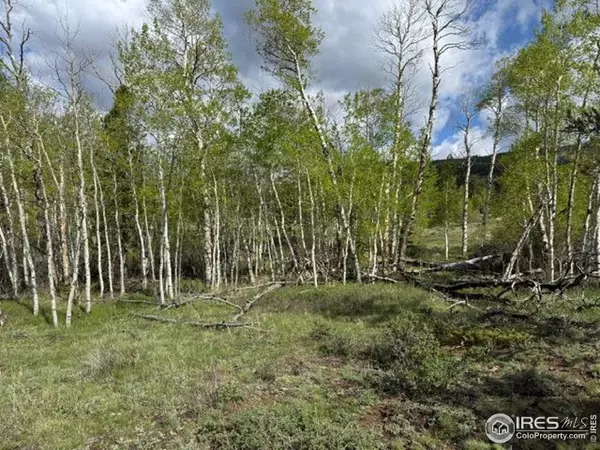 Red Feather Lakes, CO 80545,137 Cimarron Rd