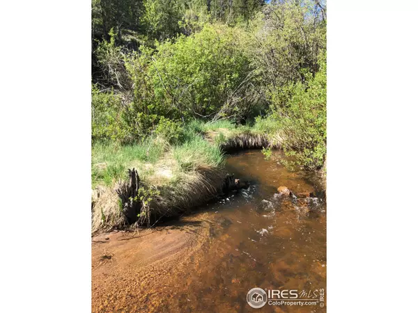 Red Feather Lakes, CO 80545,151 Ada Ct