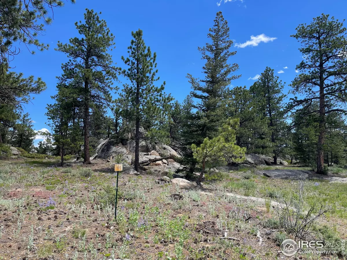 Red Feather Lakes, CO 80545,3020 Lake Arapahoe Ct