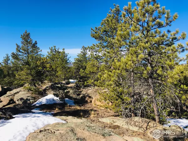 Red Feather Lakes, CO 80545,3020 Lake Arapahoe Ct