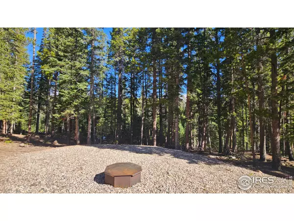 Red Feather Lakes, CO 80545,2320 Ottawa Way
