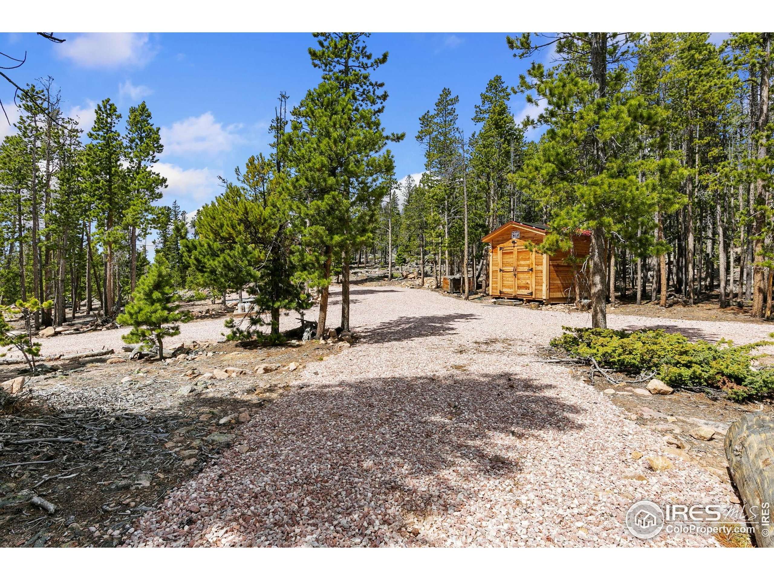 Red Feather Lakes, CO 80545,1238 Jicarilla Trl