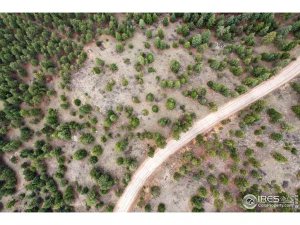 Nederland, CO 80466,2200 Magnolia Dr