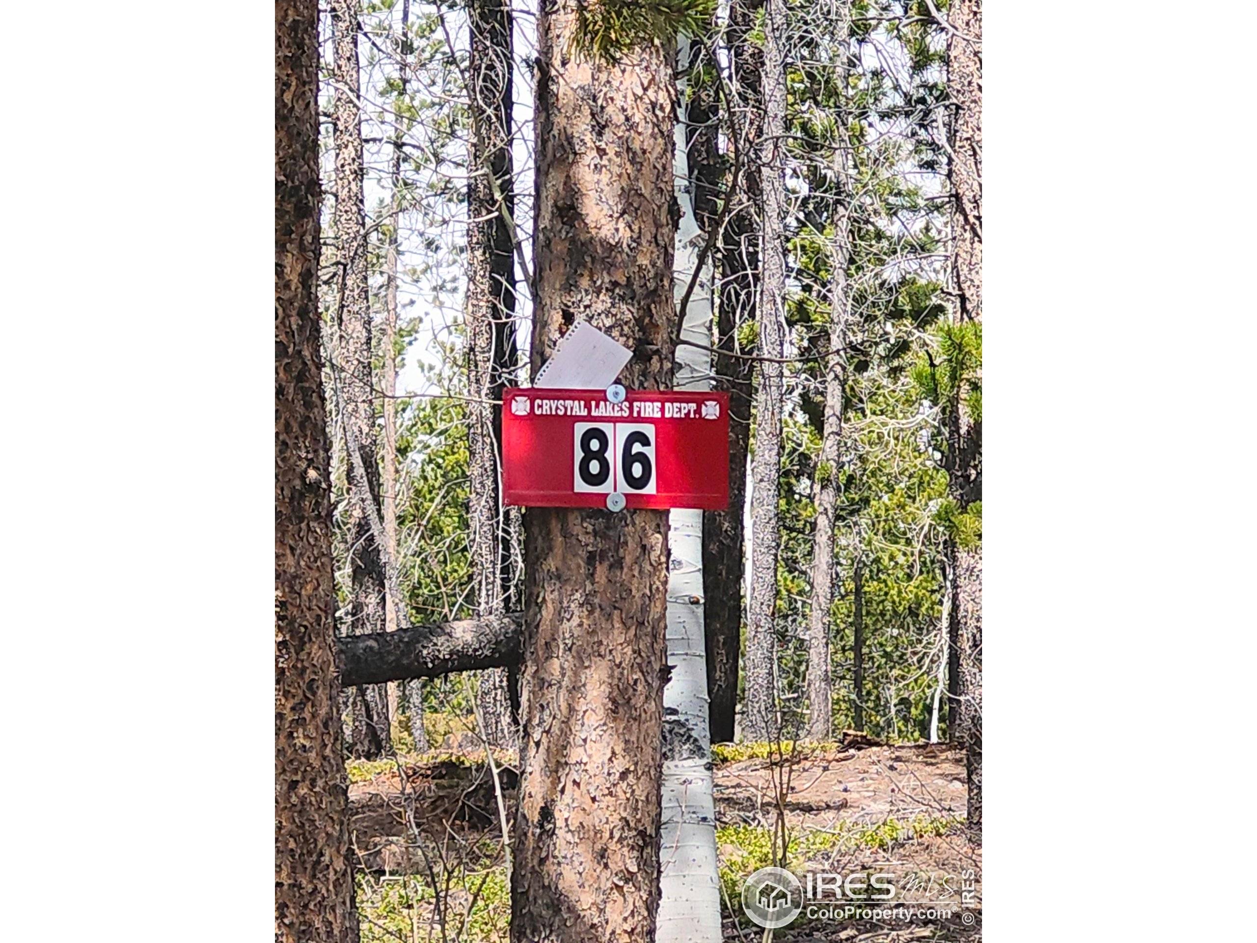 Red Feather Lakes, CO 80545,86 Timicua Ct