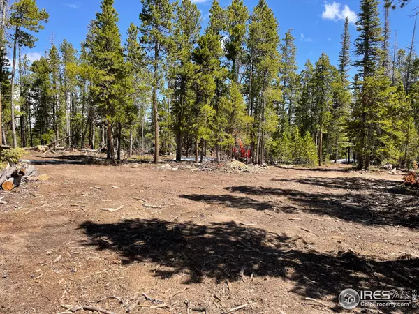 Red Feather Lakes, CO 80545,0 Forest Service 169 Rd #Parcel #3