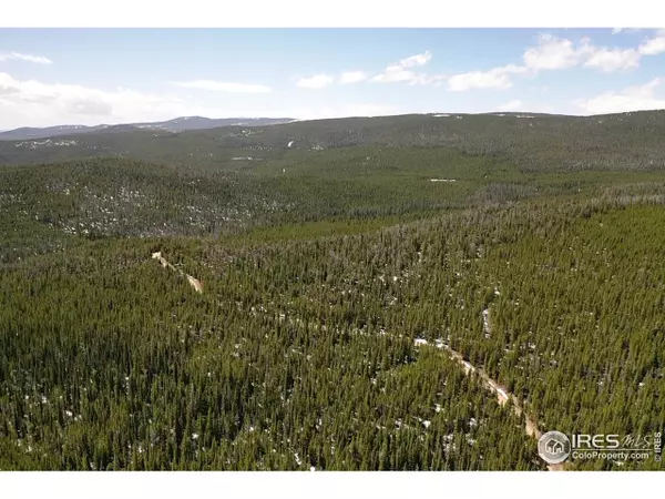Red Feather Lakes, CO 80545,0 Forest Service 169 Rd #Parcel #3
