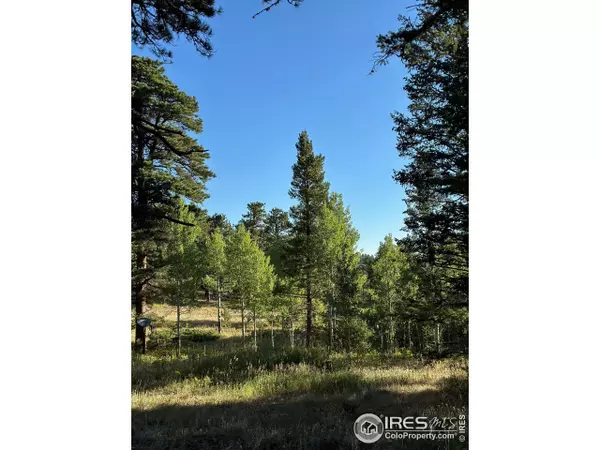 Allenspark, CO 80510,251 Haugen Slide Rd