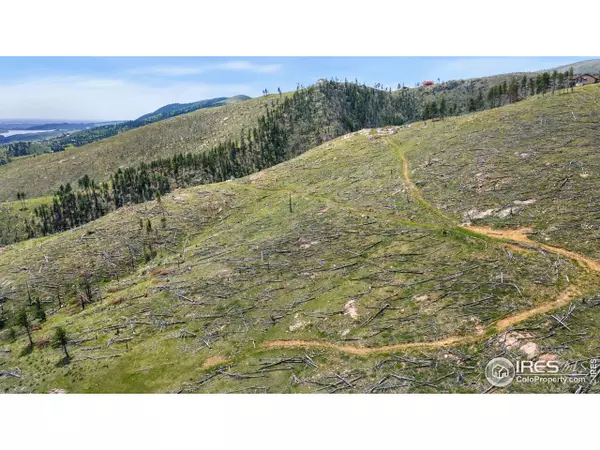 Bellvue, CO 80512,898 Hernia Hill Trl