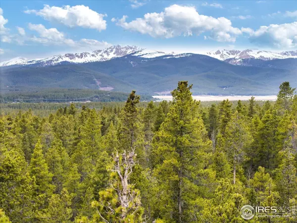 Leadville, CO 80461,0 Lodgepole Dr