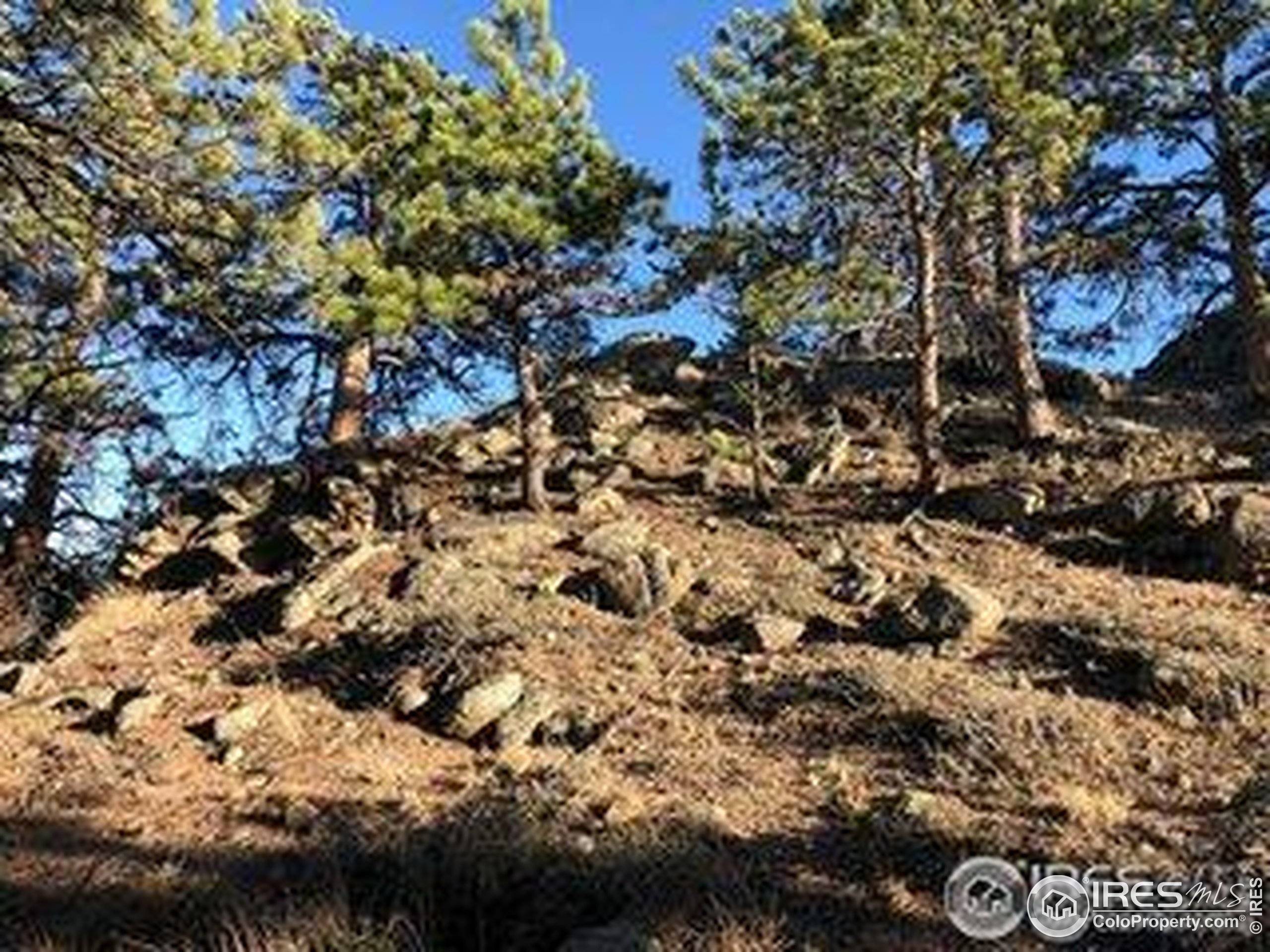 Estes Park, CO 80517,380 Parkview Ln