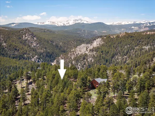 213 Rocky Knob Ln, Nederland, CO 80466