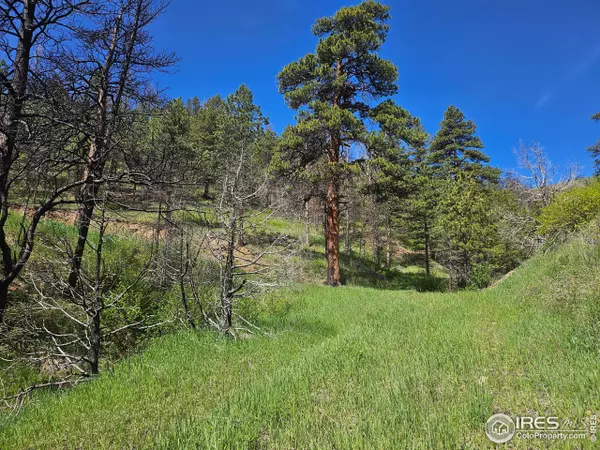 Bellvue, CO 80512,0 TBD County Road 69