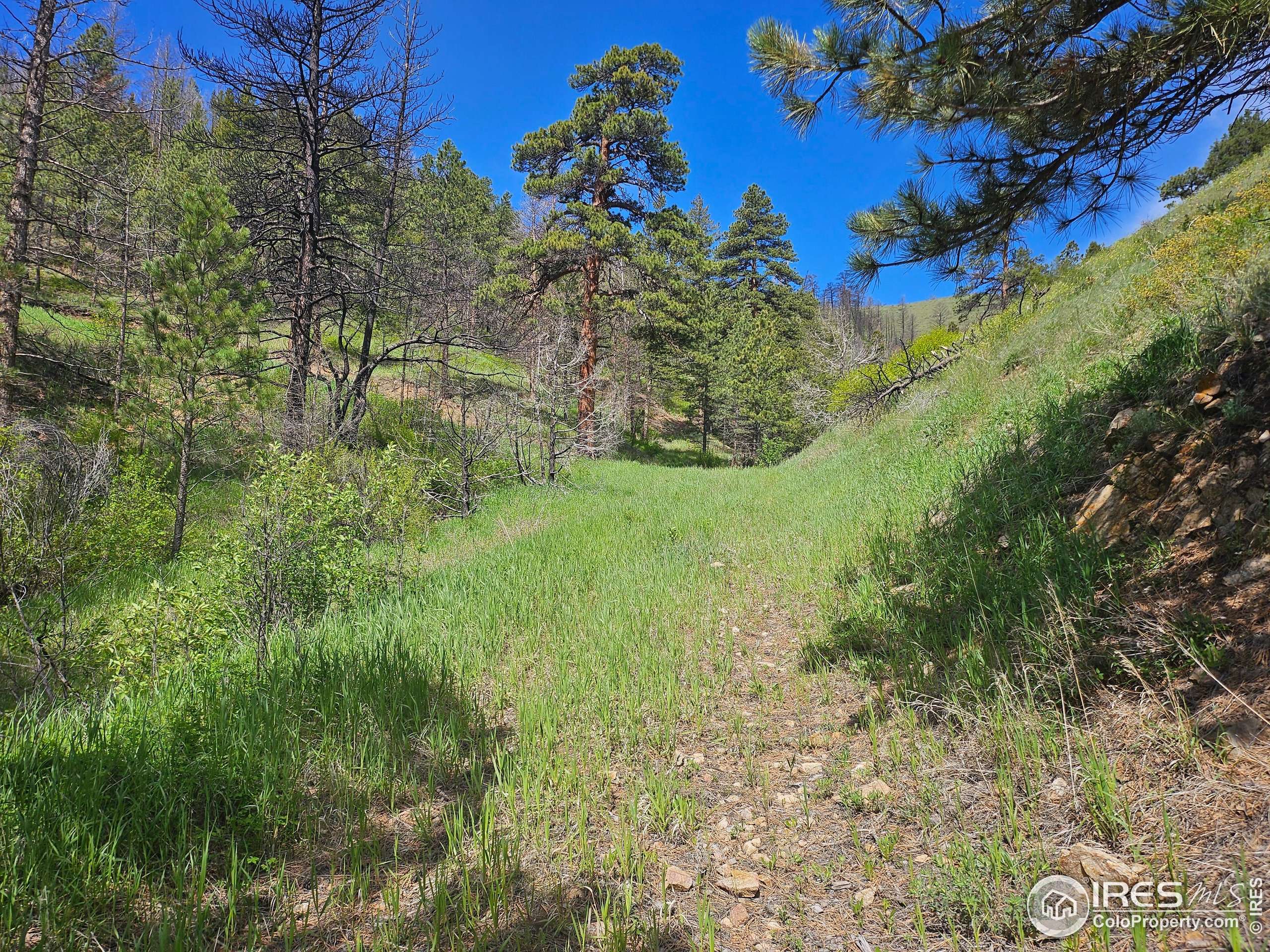 Bellvue, CO 80512,0 TBD County Road 69
