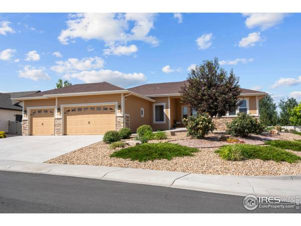 7401 Turnbull Ct, Windsor, CO 80550
