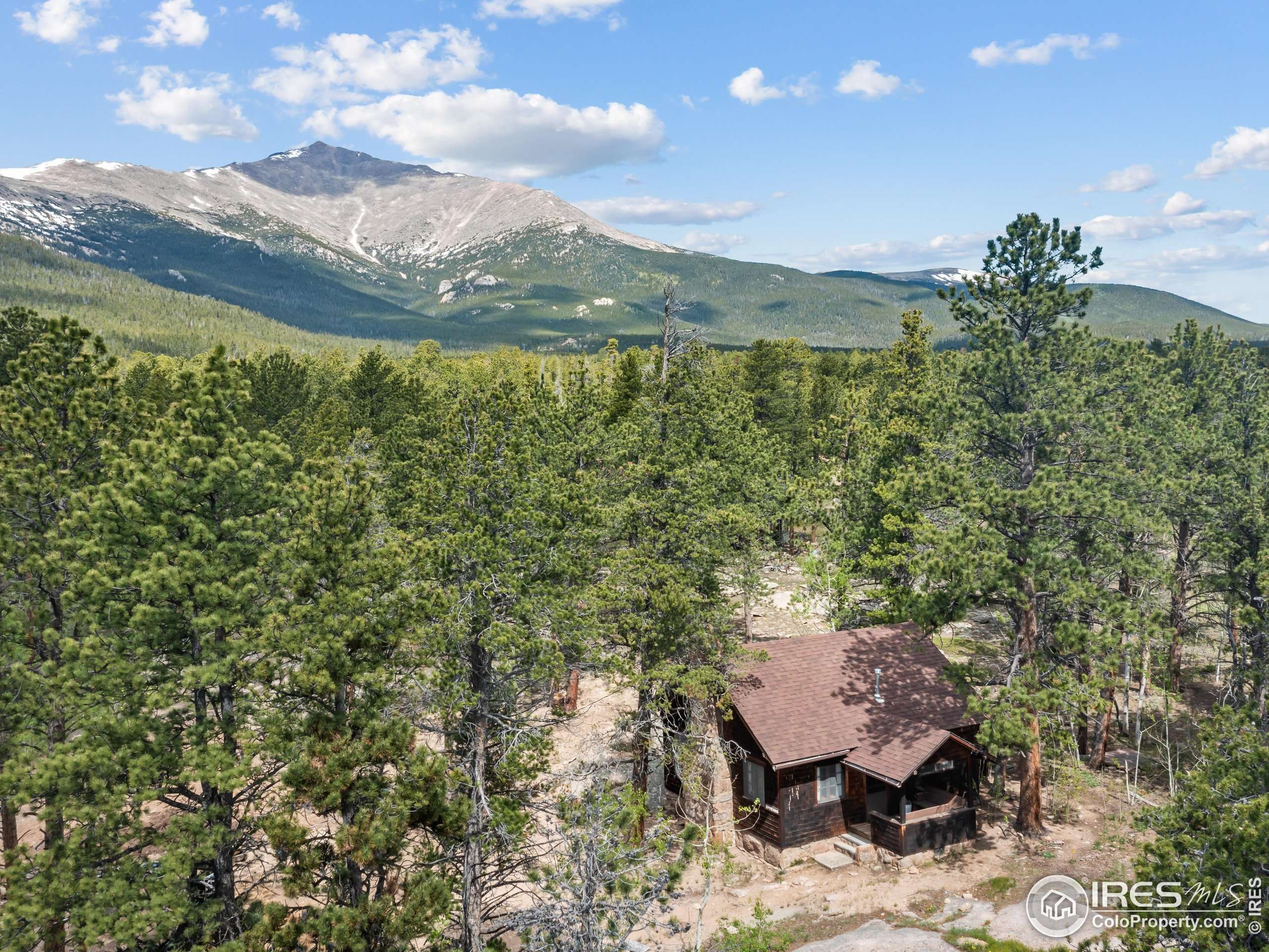 84 County Road 113 N, Allenspark, CO 80510