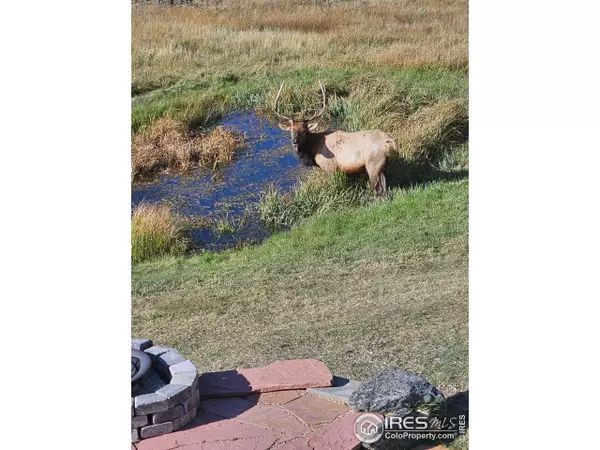Estes Park, CO 80517,351 Whispering Pines Dr
