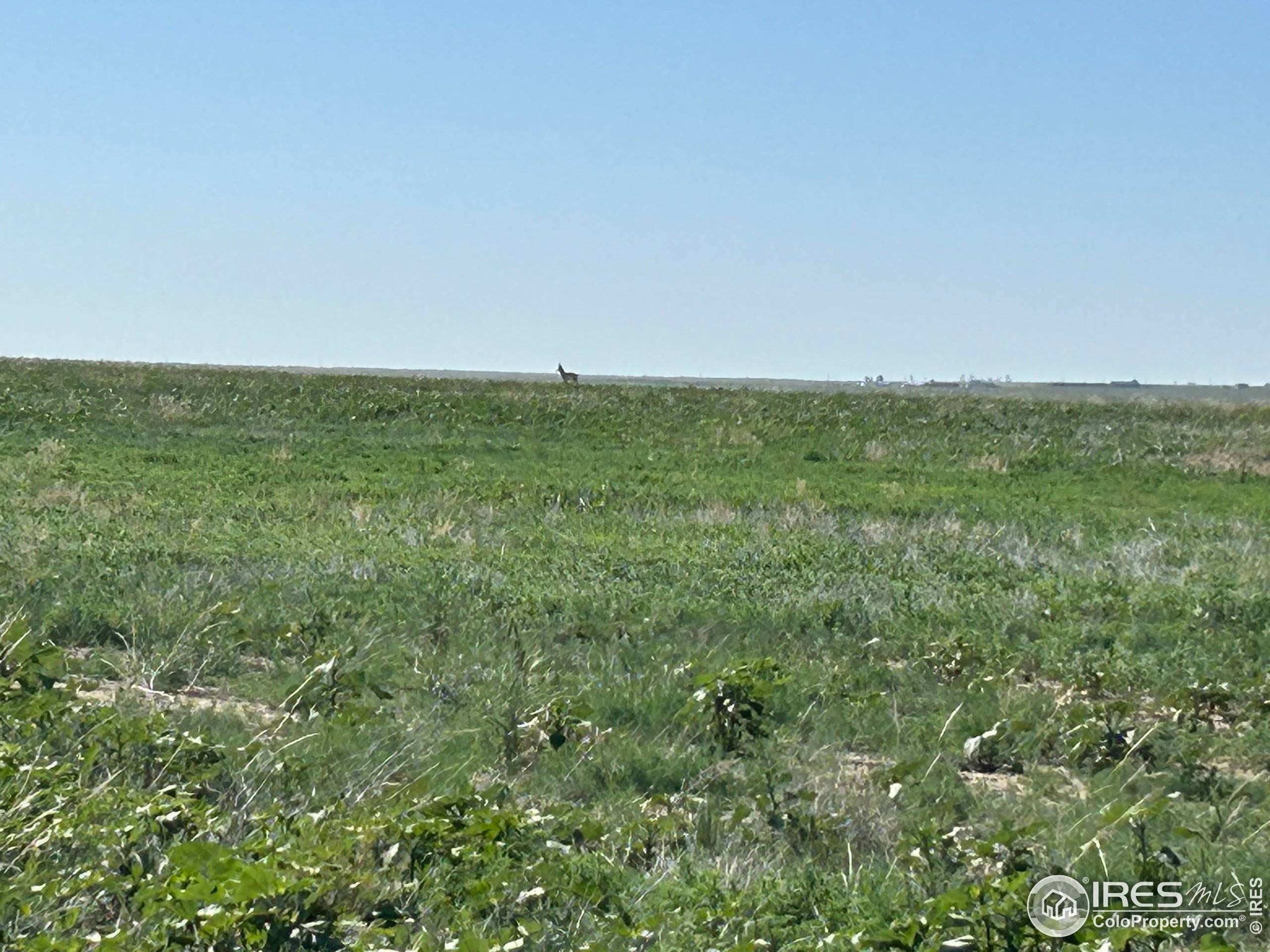 Briggsdale, CO 80611,0 CR 74