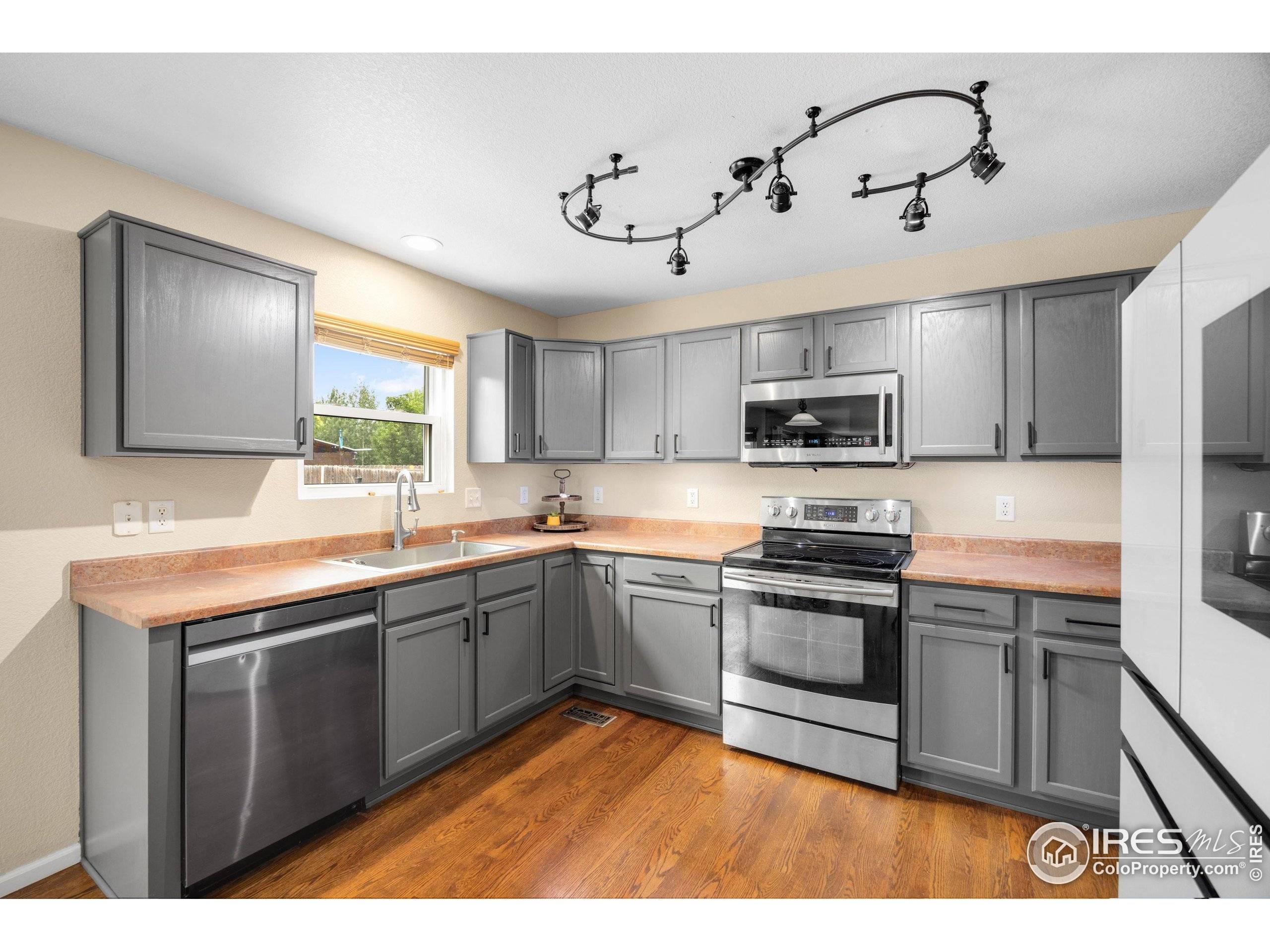 Loveland, CO 80537,3454 Leopard Pl