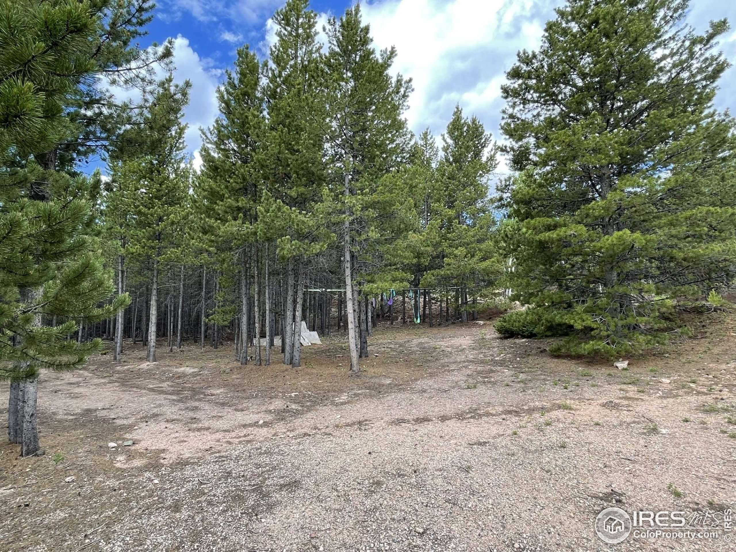 Red Feather Lakes, CO 80545,460 Mescalero Dr