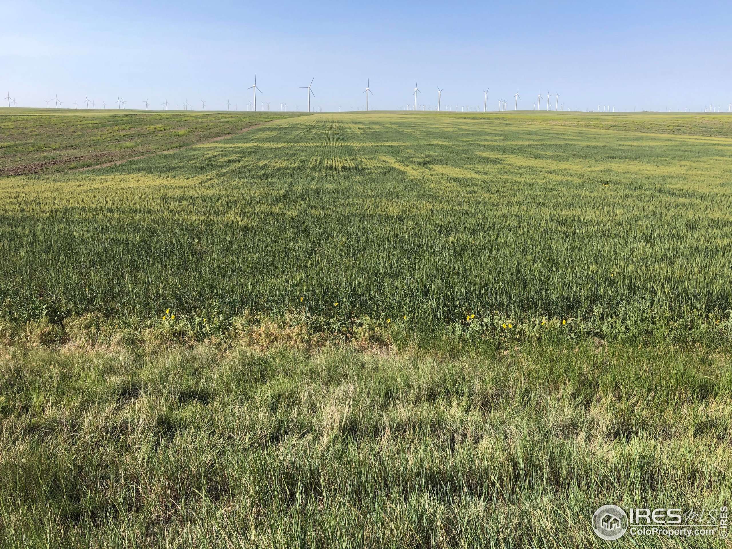 Grover, CO 80729,0 WCR 105