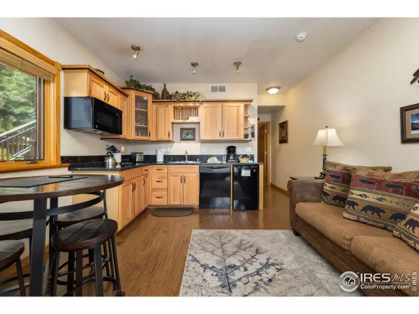 Estes Park, CO 80517,2625 Marys Lake Rd #27B