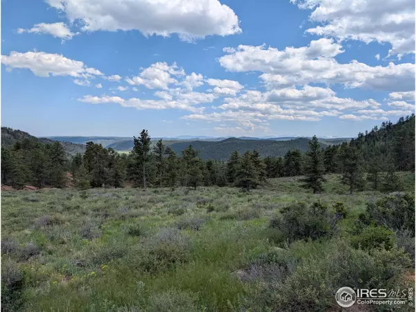 Livermore, CO 80536,2898 Red Ashby Rd