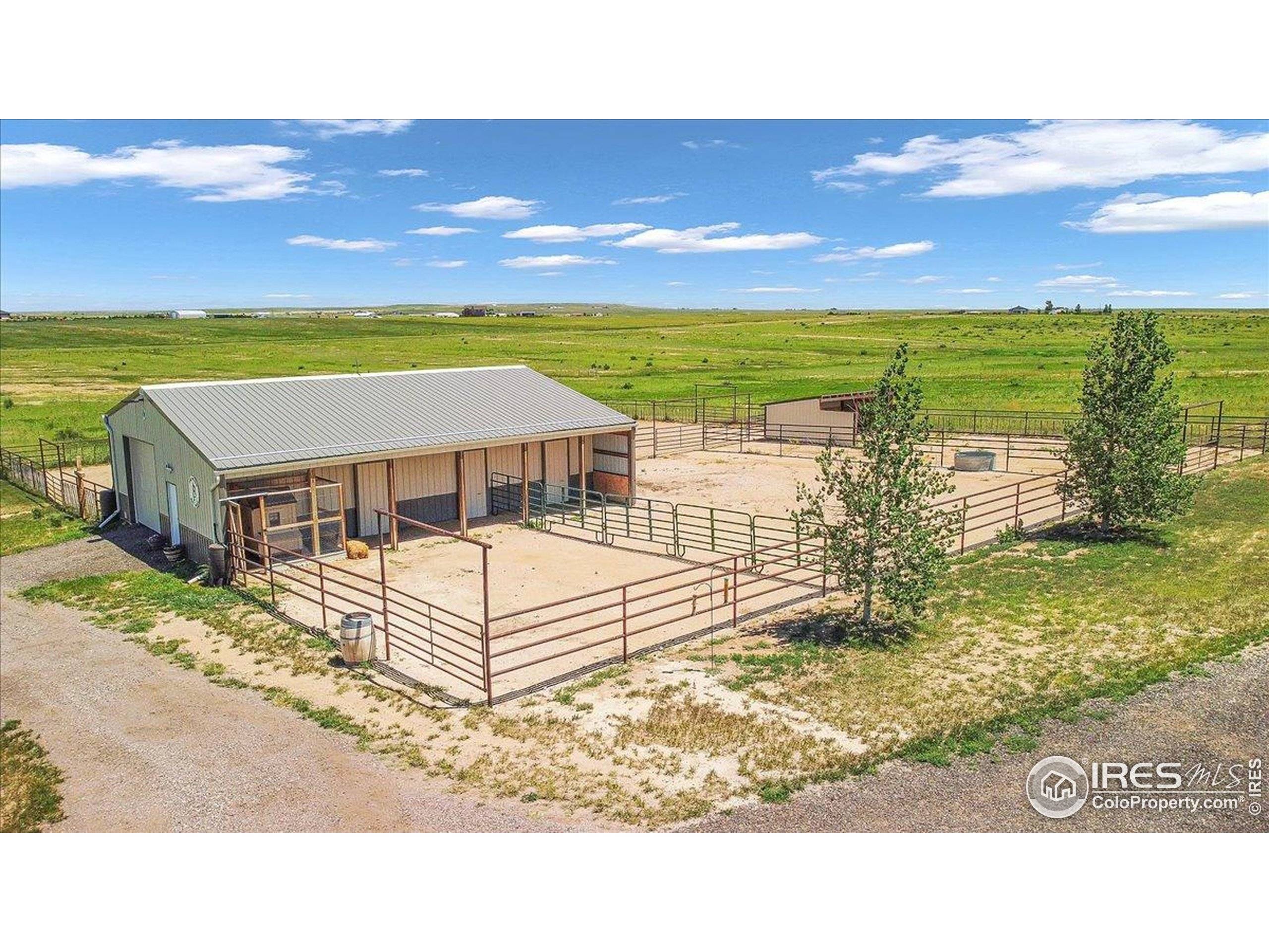 Wellington, CO 80549,50294 County Road 15