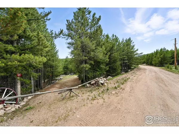 Red Feather Lakes, CO 80545,754 Mescalero Dr
