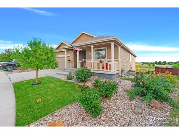 1774 Thrive Dr, Windsor, CO 80550