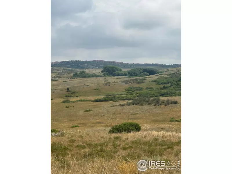 124 Springs Ranch Rd, Laporte, CO 80535