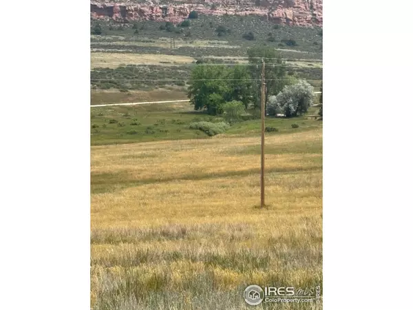 Laporte, CO 80535,124 Springs Ranch Rd