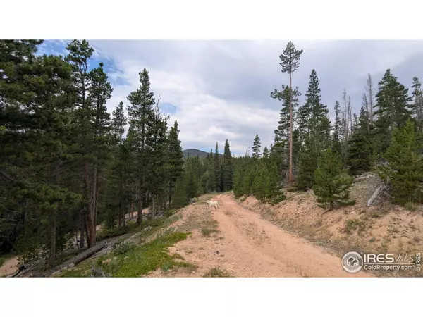 Red Feather Lakes, CO 80545,1070 Pearl Creek Rd