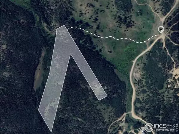 0 County Road 128-J,  Nederland,  CO 80466