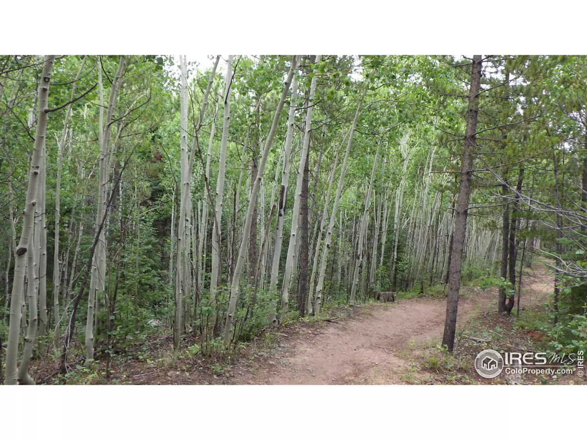 Red Feather Lakes, CO 80545,60 Comanito Ct
