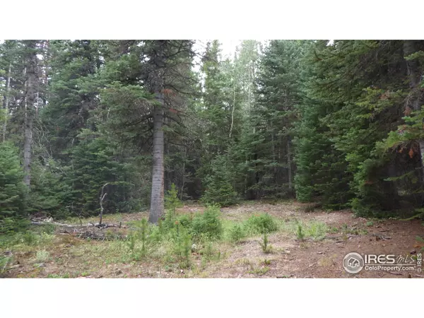Red Feather Lakes, CO 80545,60 Comanito Ct