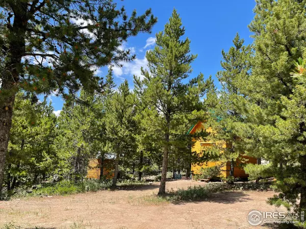 Red Feather Lakes, CO 80545,170 Penobscot Ct