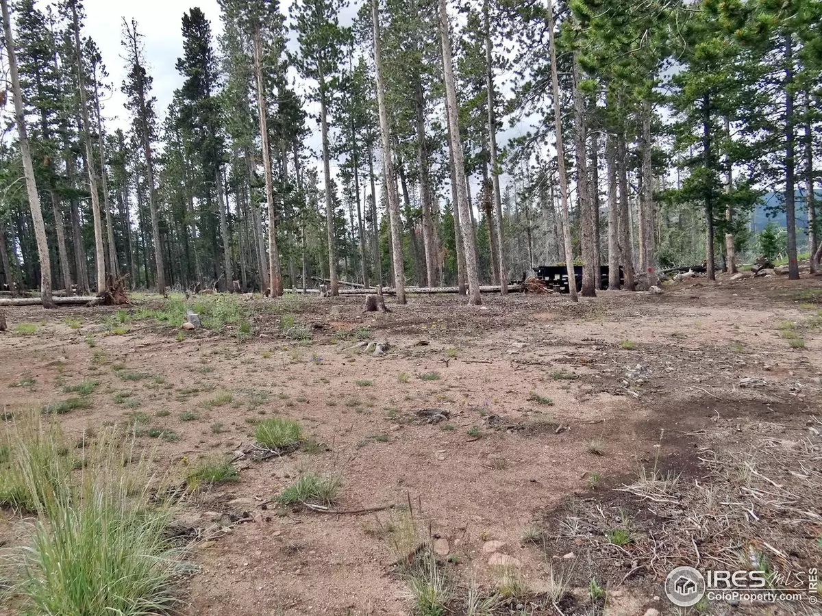 Red Feather Lakes, CO 80545,1921 Osage Trl