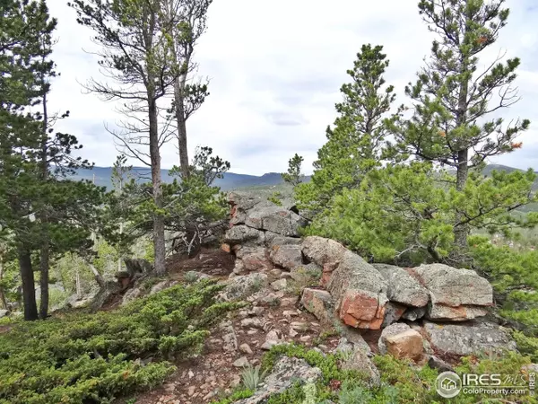 Red Feather Lakes, CO 80545,1645 Osage Trl