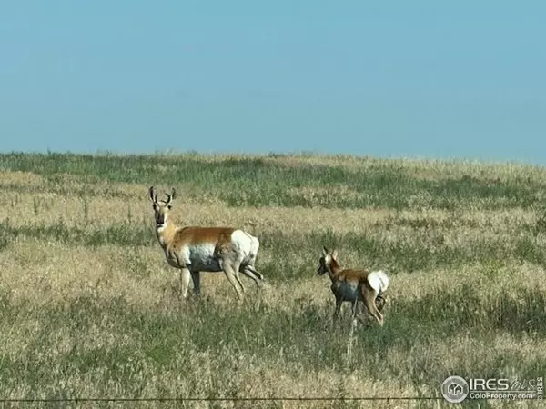 Carr, CO 80612,1 TBD FFD25-0004A County Road 15