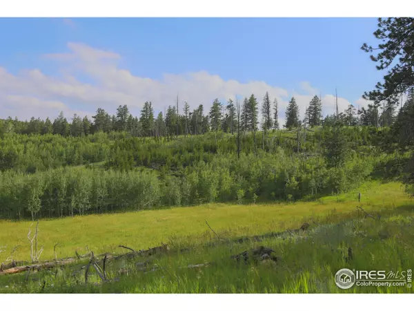 Bellvue, CO 80512,387 OLD CAMP Rd