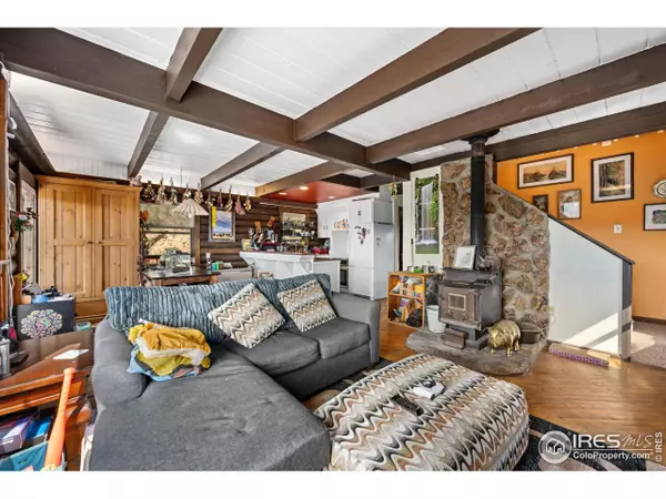 Livermore, CO 80536,23 E Quandary Ct