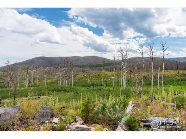 Bellvue, CO 80512,529 Quartz Rd